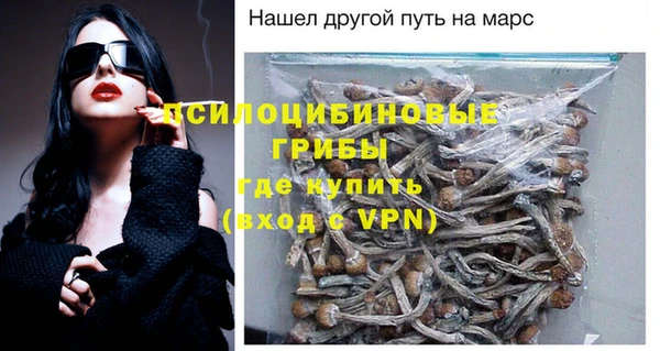 винт Верея